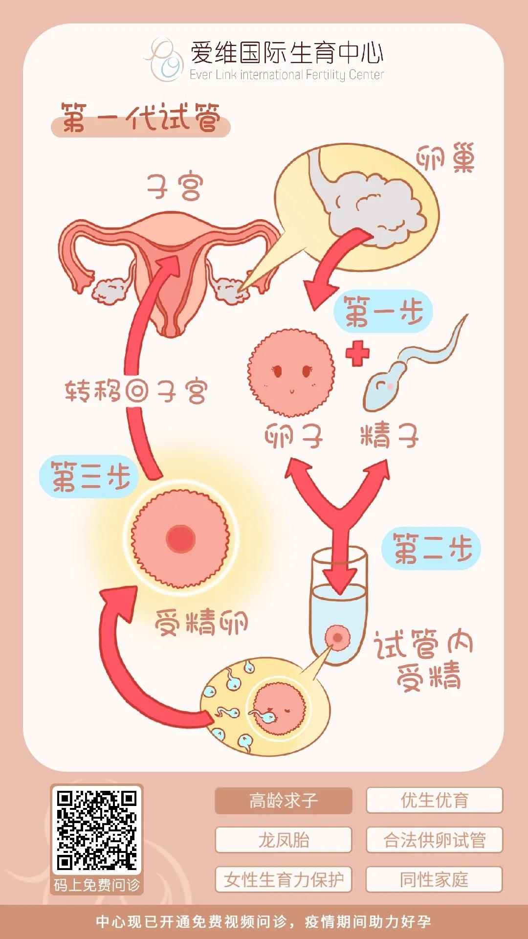 精液质量差，借卵试管婴儿前如何调理，一文看懂