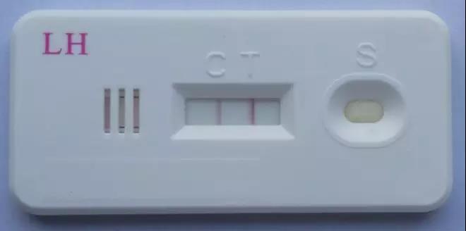1520230830127550.jpg 微信图片_20180305141952.jpg