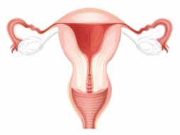 <b>【微课预告】怀不上宝宝，跟子宫内膜有多大关系？</b>