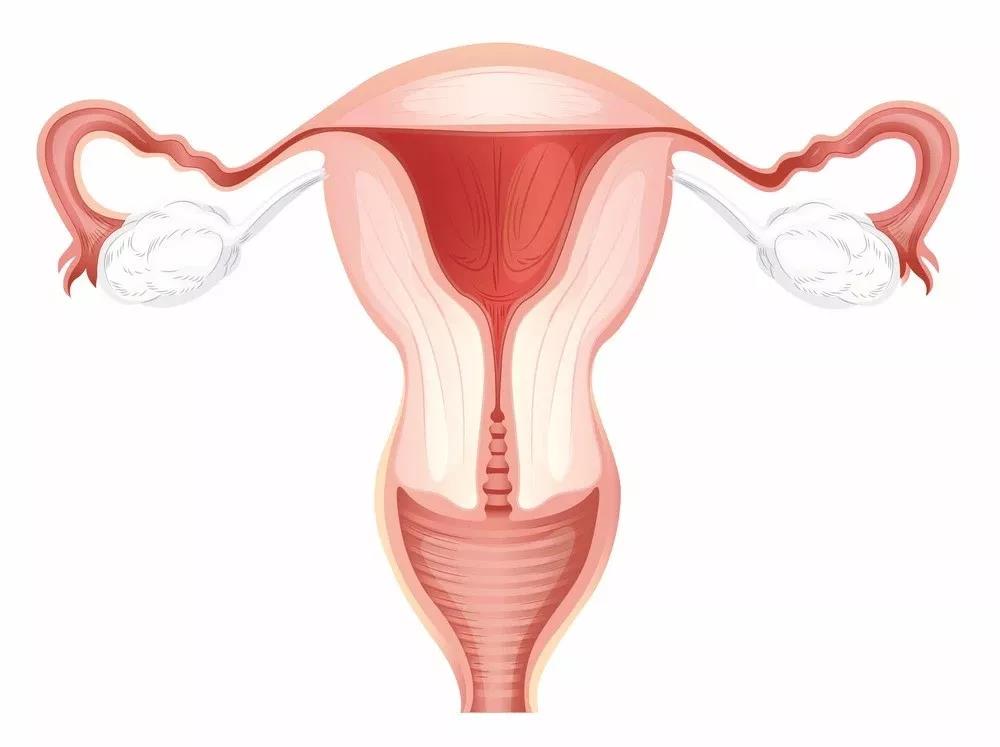 【微课预告】怀不上宝宝，跟子宫内膜有多大关系？