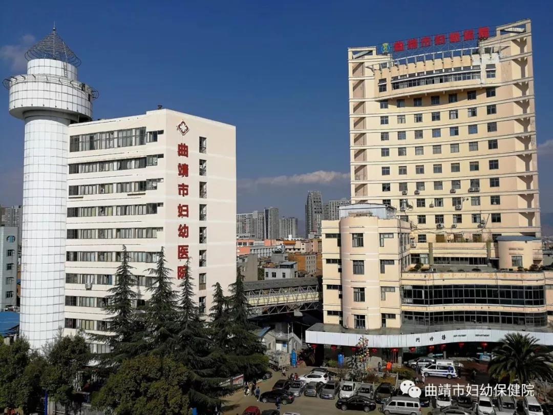 生生不息的文化记忆