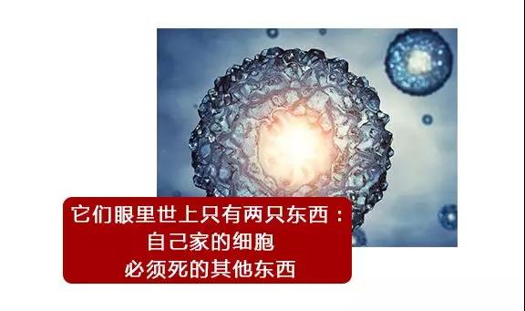 微信图片_20181213152228.jpg