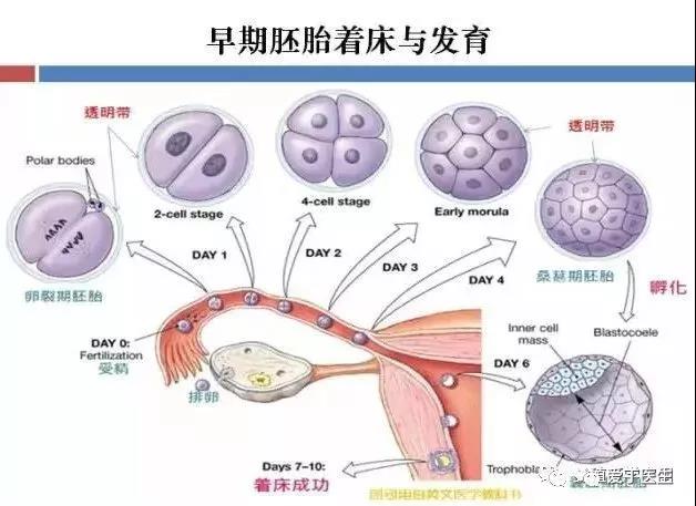 微信图片_20181226113842.jpg