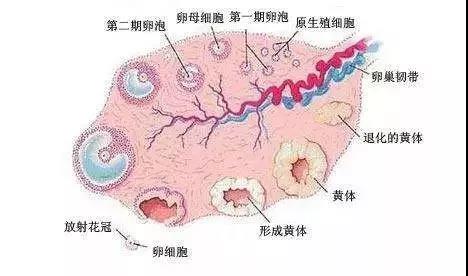 微信图片_20190123170759.jpg