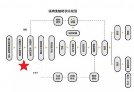 【重庆项目】生殖中心档案室大揭秘